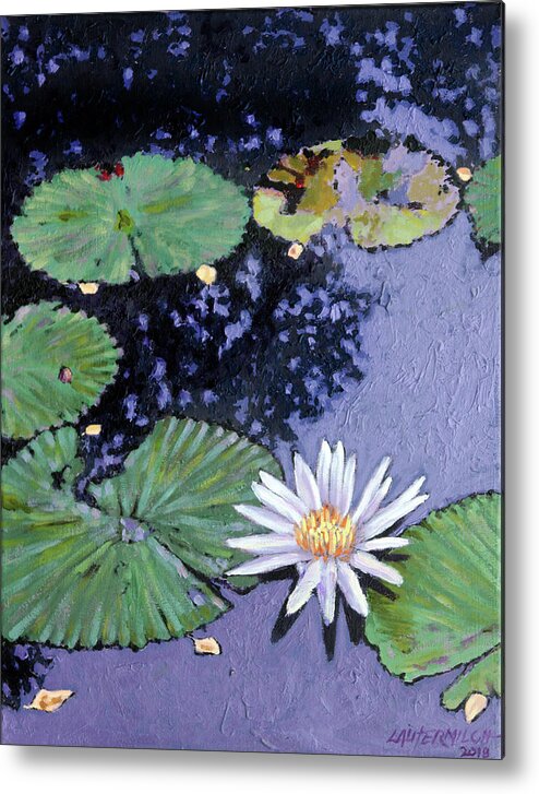 Water Lily Metal Print featuring the painting Autumn Spots by John Lautermilch