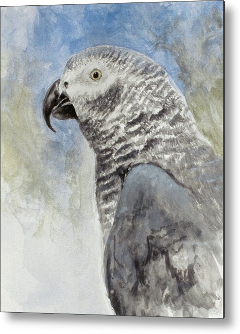 Parrot Metal Print featuring the painting Bird - Head Study by Rusty Frentner