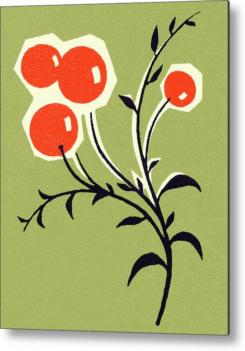 Berry Metal Print featuring the drawing Branch with Fruit by CSA Images