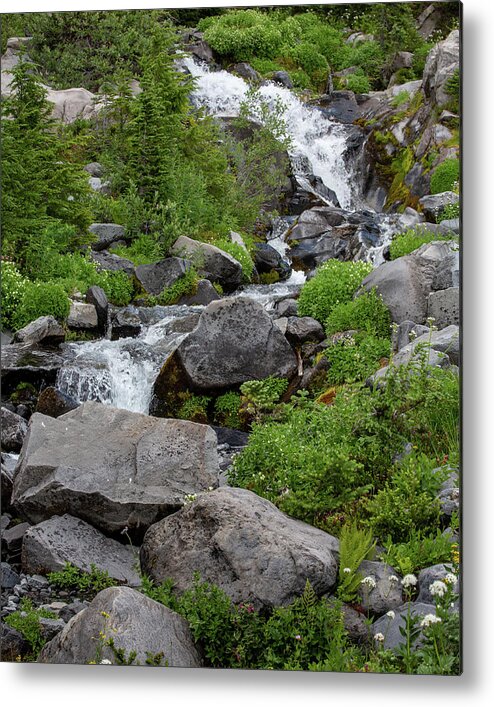 Creek Metal Print featuring the photograph Creek at Paradise Mount Rainier by Alex Mironyuk