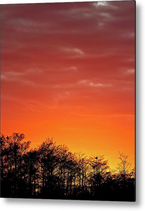 Swamp Metal Print featuring the photograph Cypress Swamp Sunset 4 by Steve DaPonte