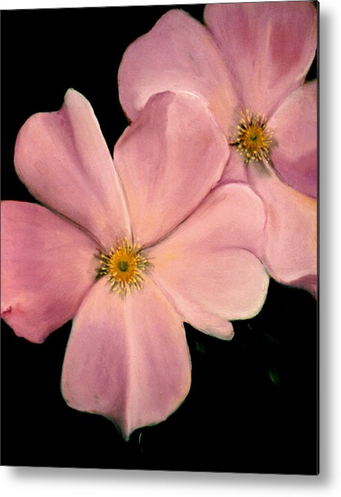 Dogwood Metal Print featuring the painting Double Dogwood by Anni Adkins