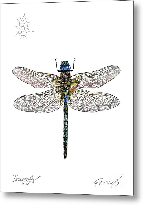 Dragonfly Metal Print featuring the drawing DragonFly by Peter Farago