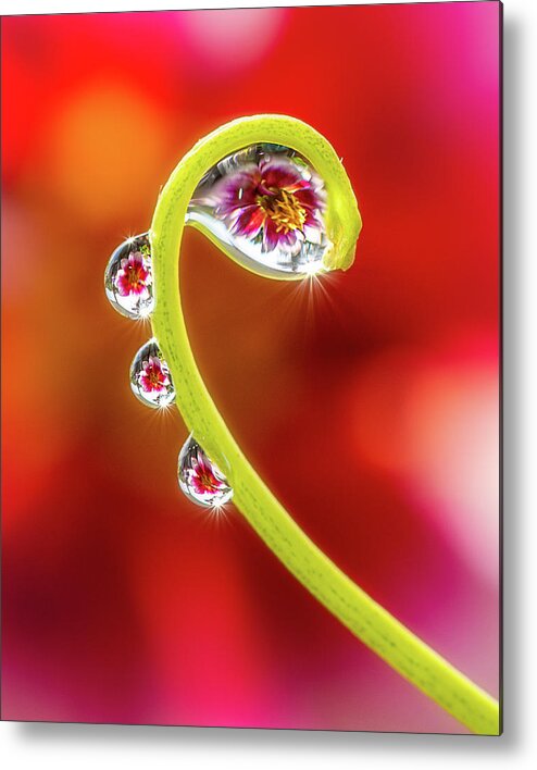 Drop Metal Print featuring the photograph Droplets by John Randazzo