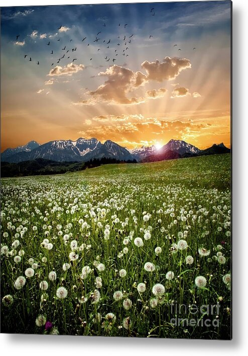 Nag005373 Metal Print featuring the photograph Evensong by Edmund Nagele FRPS