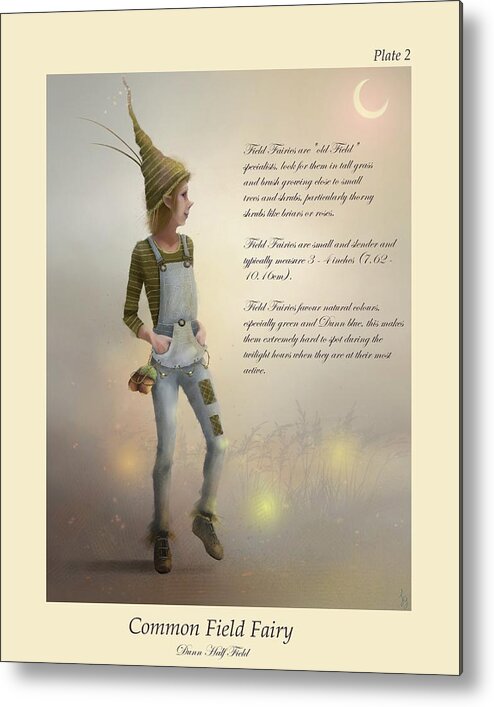 Fairy Metal Print featuring the painting Field Fairy by Joe Gilronan