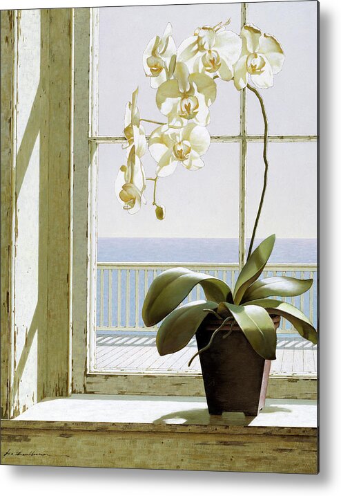 White Flower In Pot On Windowsill Metal Print featuring the painting Flower In Window by Zhen-huan Lu