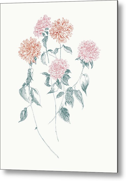 Florals Metal Print featuring the painting Flowers On White Vi Contemporary Bright by Wild Apple Portfolio