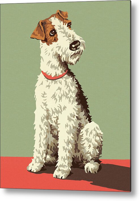 Animal Metal Print featuring the drawing Fox Terrier Dog by CSA Images
