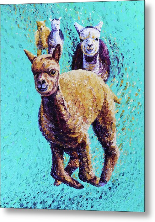 Alpaca Metal Print featuring the painting Friendly Frolic by Bari Rhys