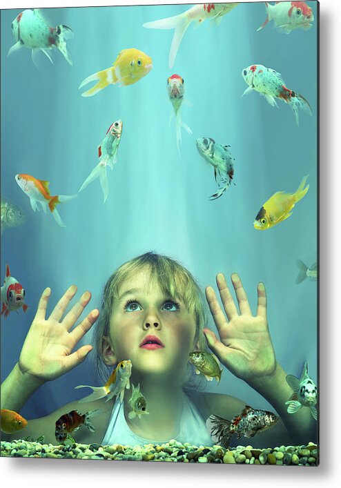 4-5 Years Metal Print featuring the photograph Girl 4-6 Looking At Fish In Tank, Hands by Gandee Vasan