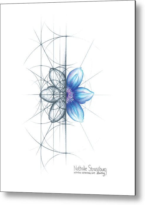 Clematis Metal Print featuring the drawing Intuitive Geometry Clematis Flower by Nathalie Strassburg