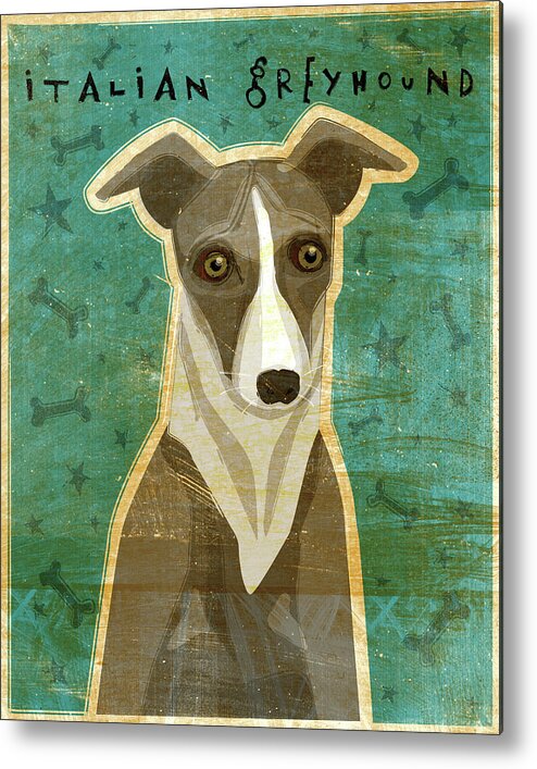 Italian Greyhound - White And Grey Metal Print featuring the digital art Italian Greyhound - White And Grey by John W. Golden