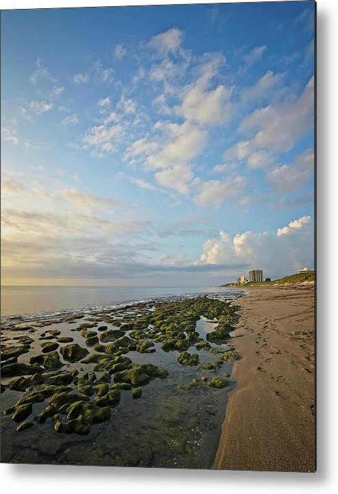 Beach Metal Print featuring the photograph Jupiter Island Shoreline by Steve DaPonte