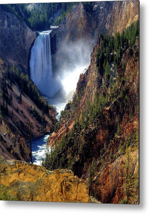 Scenics Metal Print featuring the photograph Lower Yellowstone Falls by Alan W Cole
