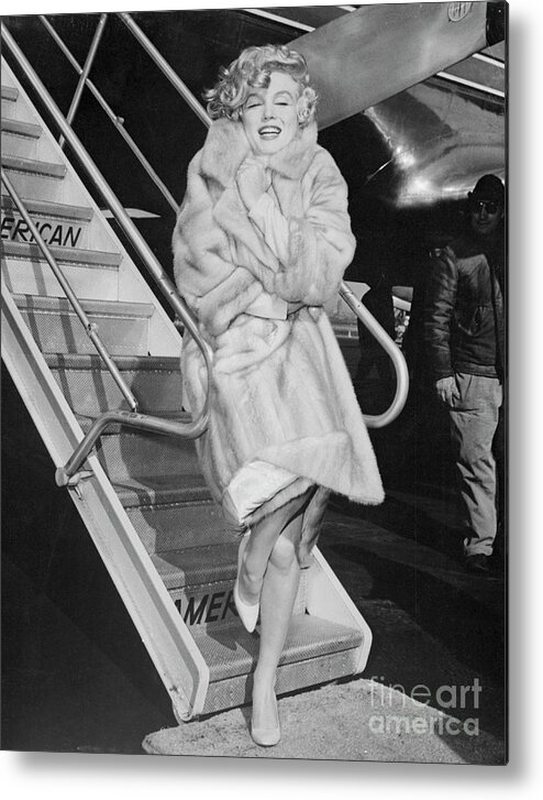 Passenger Boarding Bridge Metal Print featuring the photograph Marilyn Monroe Wearing Fur Coat by Bettmann
