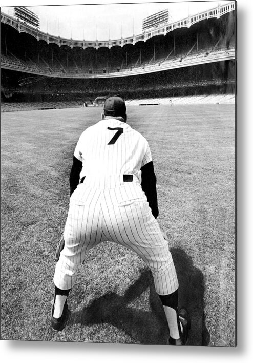 Working Metal Print featuring the photograph Mickey Mantle Works Out At Yankee by New York Daily News Archive