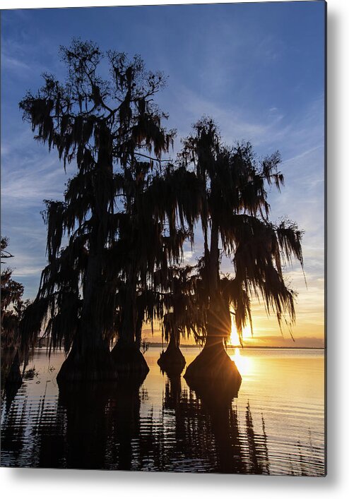 Florida Metal Print featuring the photograph Morning Glory by Stefan Mazzola