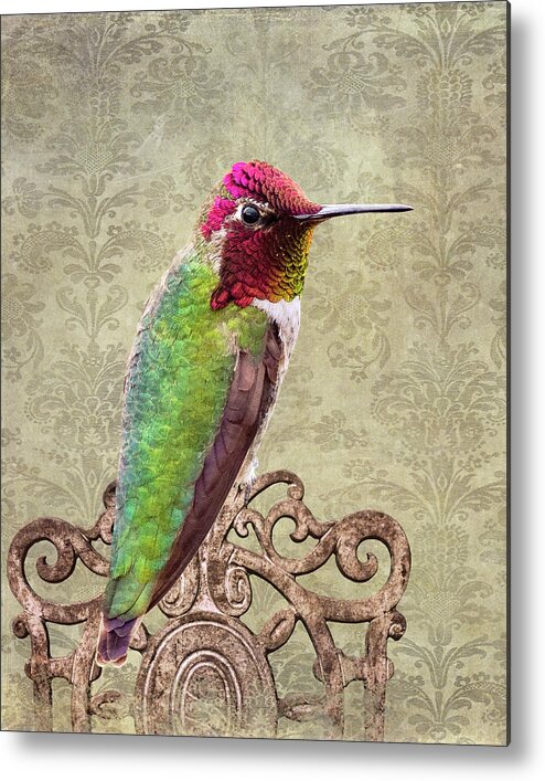 Birds Metal Print featuring the photograph Not too shabby by Mary Hone