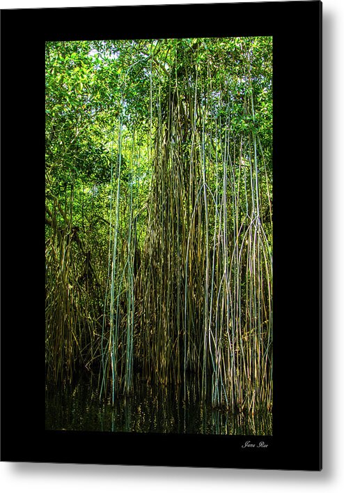 Jamaica Metal Print featuring the photograph On the river in Jamaica by Jana Rosenkranz