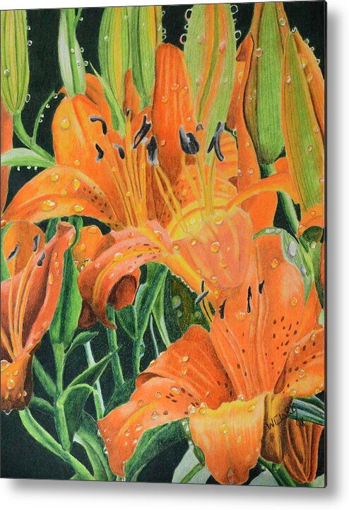 Color Pencil Metal Print featuring the painting Orange Lilly's by Wade Clark
