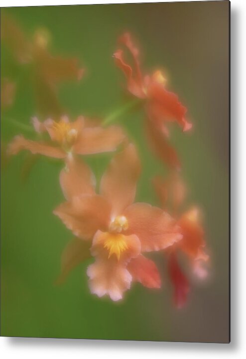 Flower Metal Print featuring the photograph Orchid by Minnie Gallman