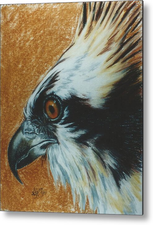Bird Of Prey Metal Print featuring the pastel Fish Hawk by Barbara Keith