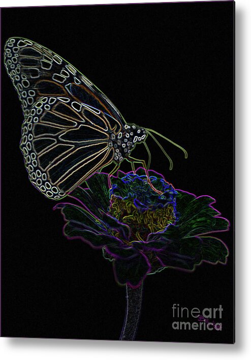 Butterfly Metal Print featuring the photograph Phantom Butterfly by Billy Knight