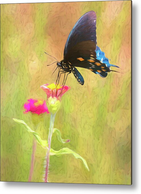 Butterfly Metal Print featuring the photograph Pipevine Prance by Art Cole