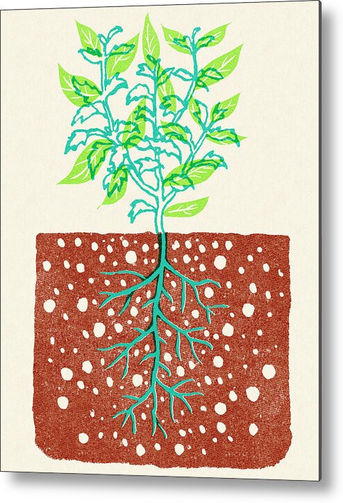 Bush Metal Print featuring the drawing Plant with Roots in Soil by CSA Images