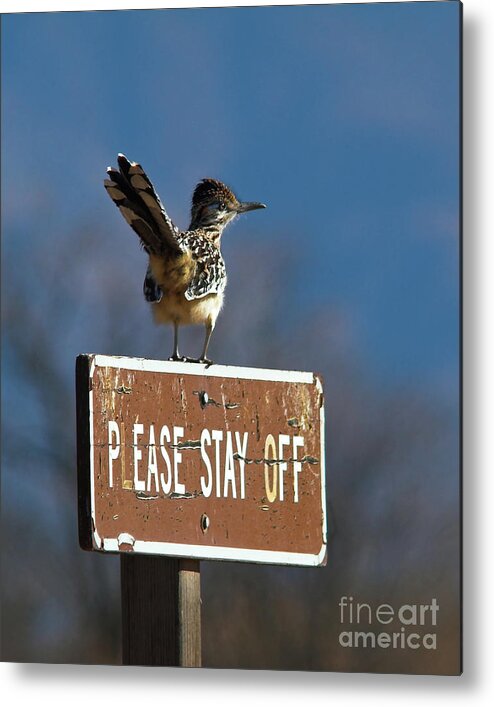 Sign Metal Print featuring the photograph Please Stay Off by Jane Axman