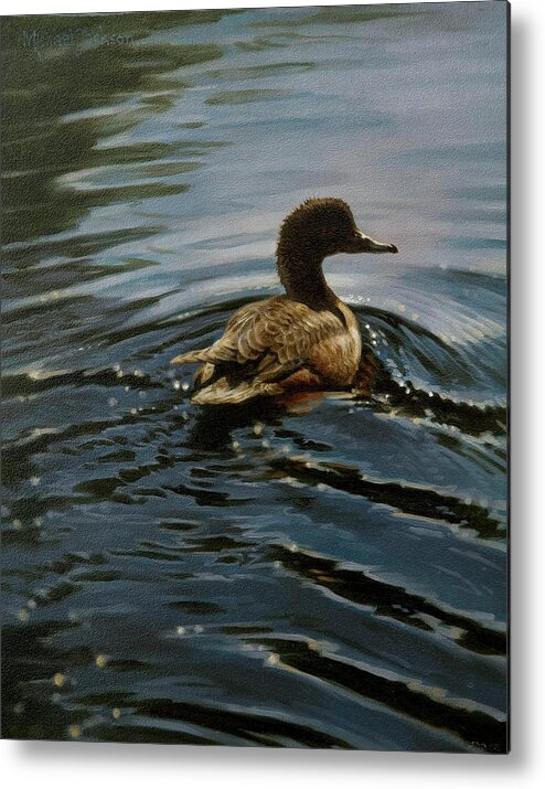 Duck Swimming Metal Print featuring the photograph Pochard 1 by Michael Jackson