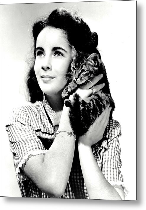 1940-1949 Metal Print featuring the photograph Portrait Of Elizabeth Taylor With A Cat by Api