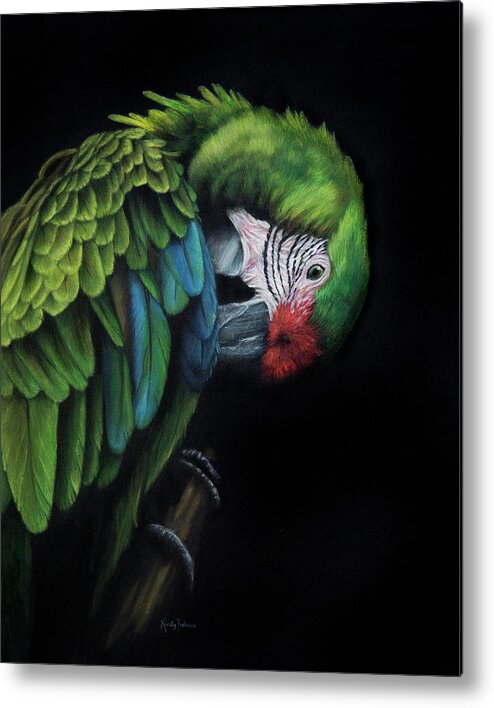 Macaw Metal Print featuring the painting Preen by Kirsty Rebecca