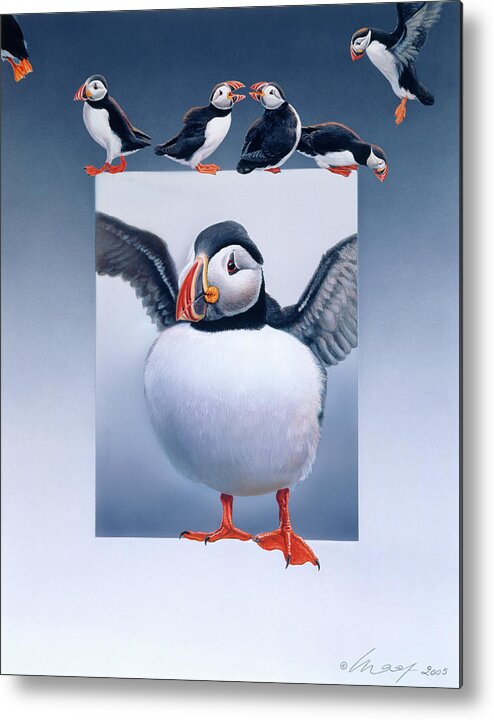 Puffins Metal Print featuring the painting Puffins by Harro Maass
