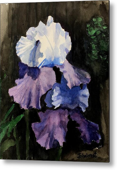 Purple Metal Print featuring the painting Purple-Blue Iris by John West