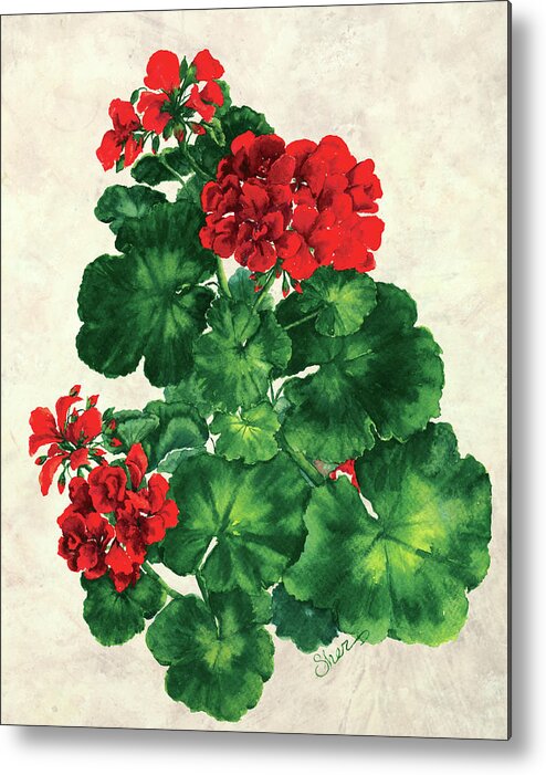 Red Geranium Metal Print featuring the mixed media Red Geranium by Sher Sester