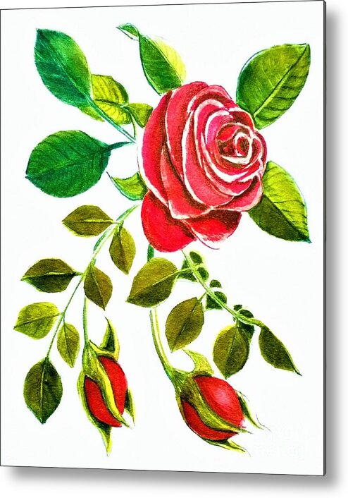 Red Metal Print featuring the painting Red Rose Watercolor by Delynn Addams for Home Decor by Delynn Addams