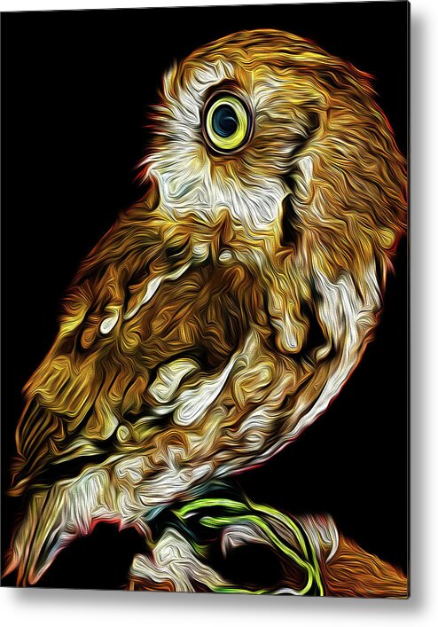 Eastern Screech Owl Owl Wildlife Florida Metal Print featuring the digital art Ruby in Regard by Michael Allard