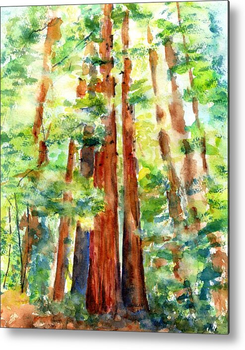Redwoods Metal Print featuring the painting Sunlight through Redwood Trees by Carlin Blahnik CarlinArtWatercolor
