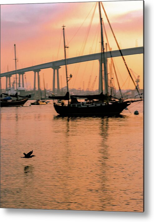 Bird Metal Print featuring the photograph The Early Bird by Local Snaps Photography