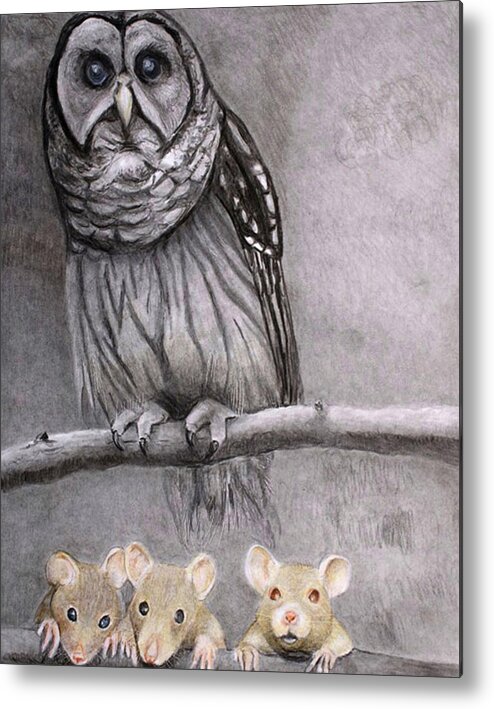 Animals Birds Metal Print featuring the drawing Three Blind Mice by Tim Ernst