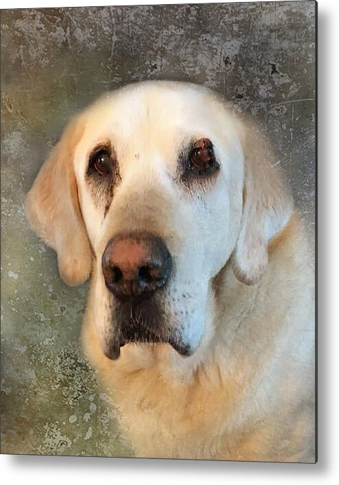 Dog Metal Print featuring the photograph Tribute to Leroy 2 by Rebecca Cozart