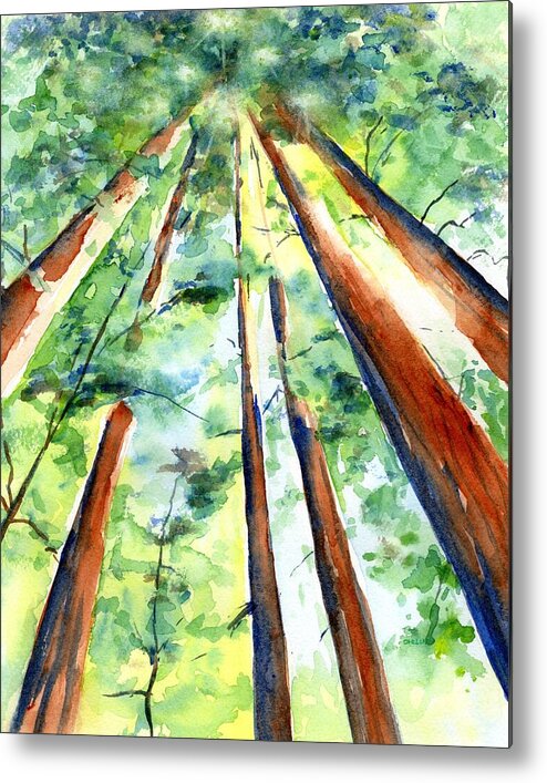 Trees Metal Print featuring the painting Up through the Redwoods by Carlin Blahnik CarlinArtWatercolor