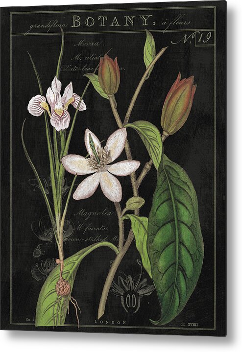 Black Metal Print featuring the painting Vintage White Flora IIi by Sue Schlabach
