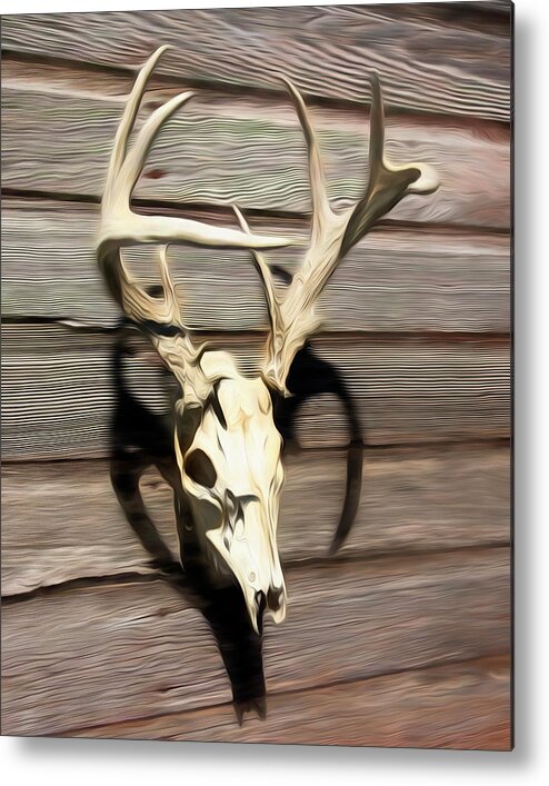 Kansas Metal Print featuring the photograph White-tail Deer 006 by Rob Graham