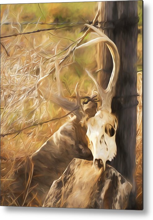 Kansas Metal Print featuring the photograph White-tail Deer 011 by Rob Graham