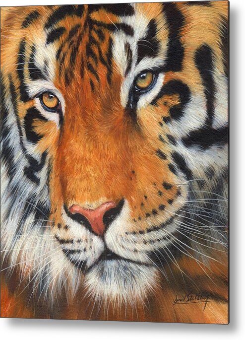 Tiger Metal Print featuring the painting Tiger Portrait #1 by David Stribbling