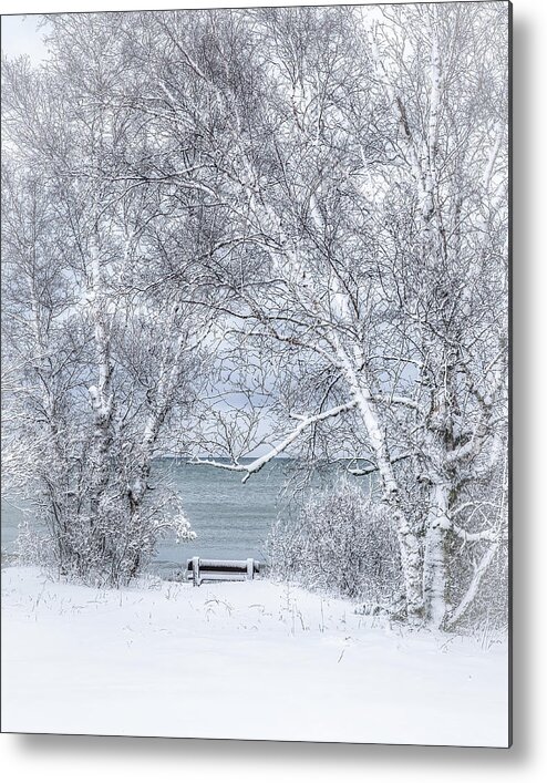  Winter Wonderland Metal Print featuring the photograph Winter Wonderland #1 by Brad Bellisle