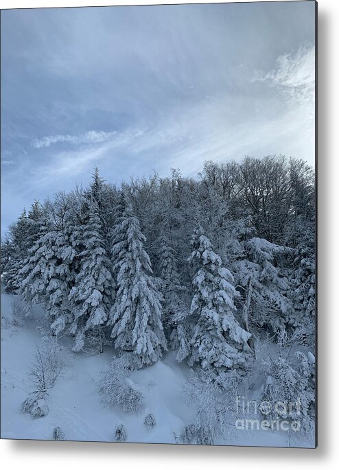  Metal Print featuring the photograph Winter Wonderland #4 by Annamaria Frost
